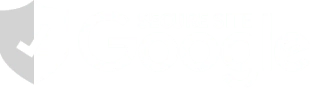 Google Secure Site